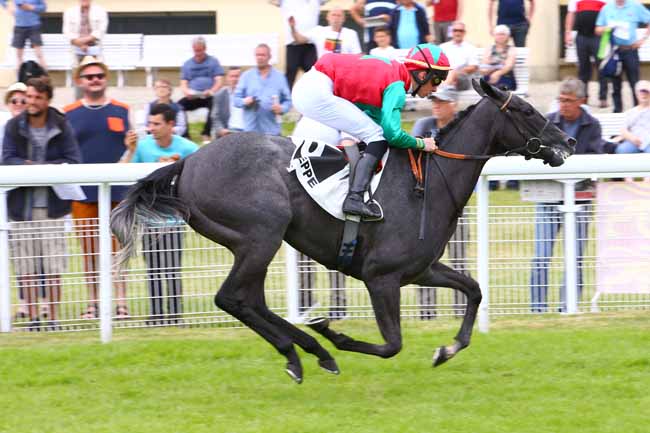 Photo d'arrivée de la course pmu PRIX LEXUS TOYS MOTORS à DIEPPE le Mardi 18 juin 2019