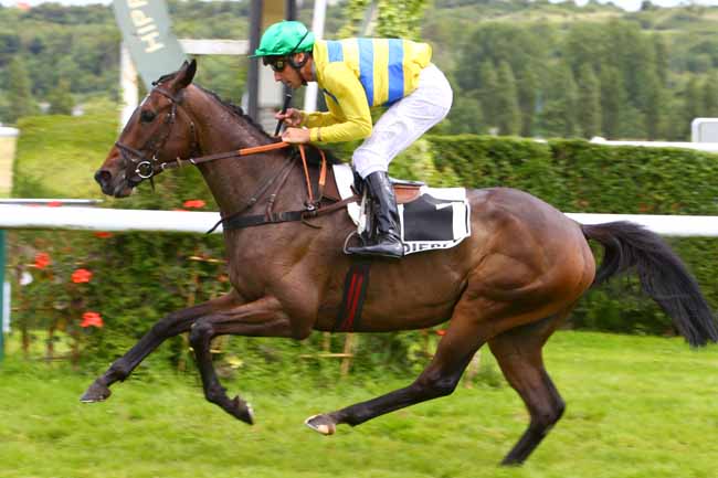 Photo d'arrivée de la course pmu PRIX NID VERT à DIEPPE le Mardi 18 juin 2019