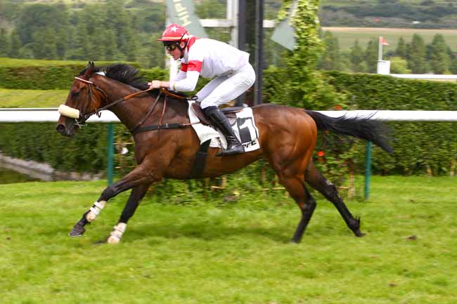 Photo d'arrivée de la course pmu PRIX DU CENTRE COMMERCIAL DU BELVEDERE DE DIEPPE à DIEPPE le Mardi 18 juin 2019
