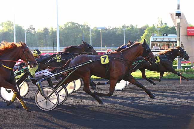 Photo d'arrivée de la course pmu PRIX MARIA à PARIS-VINCENNES le Mardi 18 juin 2019