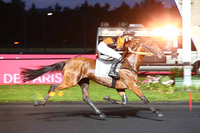 Photo d'arrivée de la course pmu PRIX SITA à PARIS-VINCENNES le Mardi 18 juin 2019