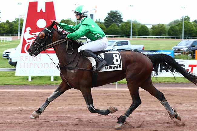 Photo d'arrivée de la course pmu PRIX DU BON ACCUEUIL - TINQUEUX à REIMS le Mercredi 19 juin 2019