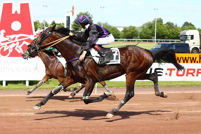 Photo d'arrivée de la course pmu PRIX DE LA FEDERATION DE L'EST à REIMS le Mercredi 19 juin 2019