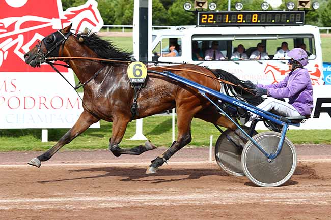 Photo d'arrivée de la course pmu PRIX JULIEN CORNET à REIMS le Mercredi 19 juin 2019