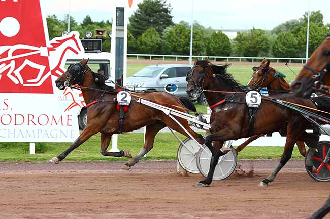 Photo d'arrivée de la course pmu PRIX HIPPODROMEDEREIMS.COM à REIMS le Mercredi 19 juin 2019