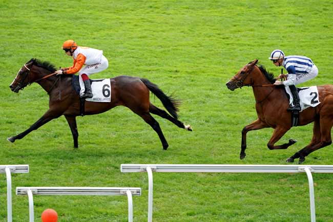 Photo d'arrivée de la course pmu PRIX ROSE ROYALE à MAISONS-LAFFITTE le Mercredi 19 juin 2019