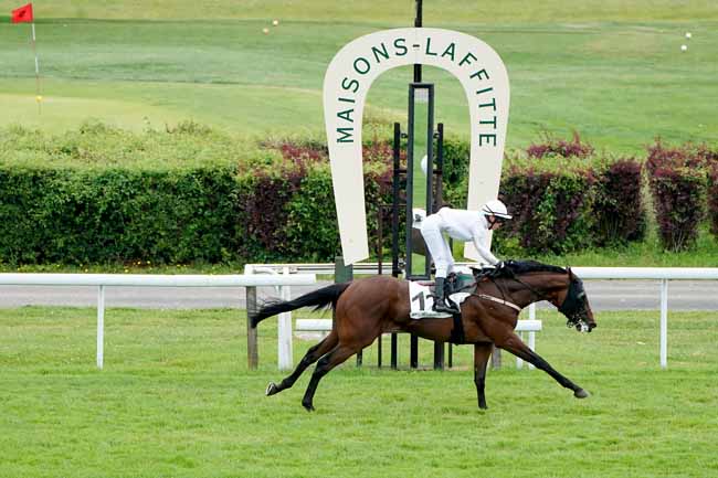 Photo d'arrivée de la course pmu PRIX DE FEUCHEROLLES à MAISONS-LAFFITTE le Mercredi 19 juin 2019