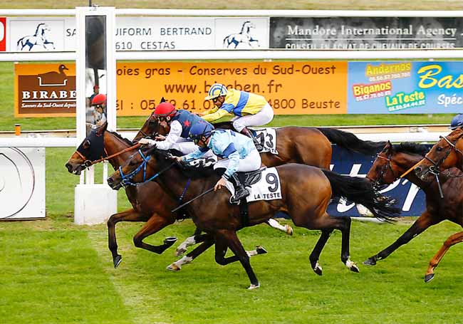 Photo d'arrivée de la course pmu PRIX FOIE GRAS BIRABEN à LA TESTE DE BUCH le Jeudi 20 juin 2019