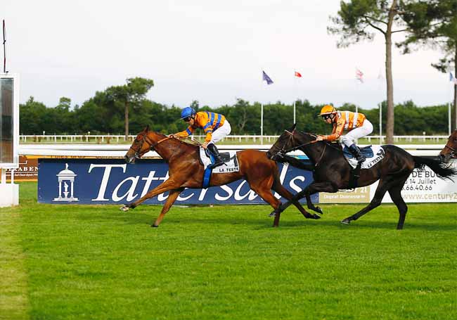 Photo d'arrivée de la course pmu PRIX LA SORELLINA - TATTERSALLS à LA TESTE DE BUCH le Jeudi 20 juin 2019