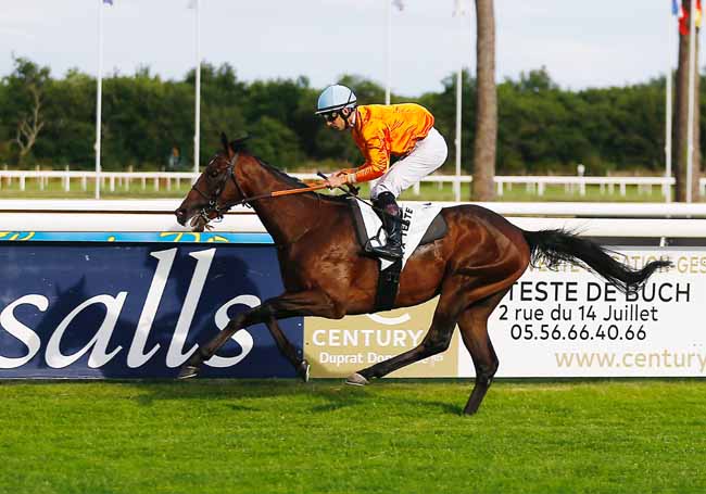 Photo d'arrivée de la course pmu PRIX CENTURY 21 DUPRAT DONNESSE à LA TESTE DE BUCH le Jeudi 20 juin 2019