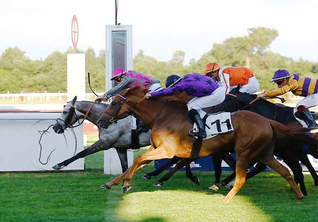 Photo d'arrivée de la course pmu PRIX DU BASSIN D'ARCACHON - SABT à LA TESTE DE BUCH le Jeudi 20 juin 2019