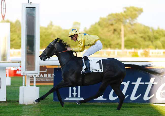 Photo d'arrivée de la course pmu PRIX CHAMPAGNE DUVAL-LEROY à LA TESTE DE BUCH le Jeudi 20 juin 2019
