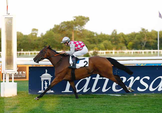 Photo d'arrivée de la course pmu PRIX BANQUE COURTOIS à LA TESTE DE BUCH le Jeudi 20 juin 2019