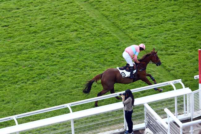 Photo d'arrivée de la course pmu PRIX DU VESINET à AUTEUIL le Jeudi 20 juin 2019