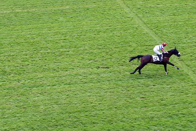 Photo d'arrivée de la course pmu PRIX PHARAON à AUTEUIL le Jeudi 20 juin 2019