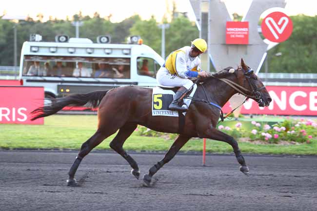 Photo d'arrivée de la course pmu PRIX XAVIER DE SAINT-PALAIS à PARIS-VINCENNES le Vendredi 21 juin 2019