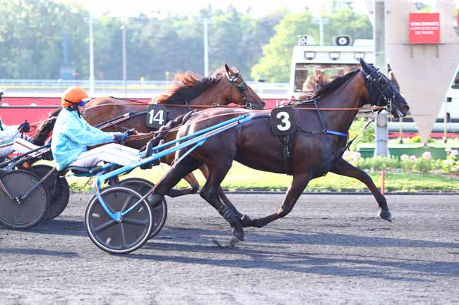 Photo d'arrivée de la course pmu PRIX OCEANA à PARIS-VINCENNES le Mardi 25 juin 2019