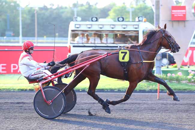 Photo d'arrivée de la course pmu PRIX THALIA à PARIS-VINCENNES le Mardi 25 juin 2019