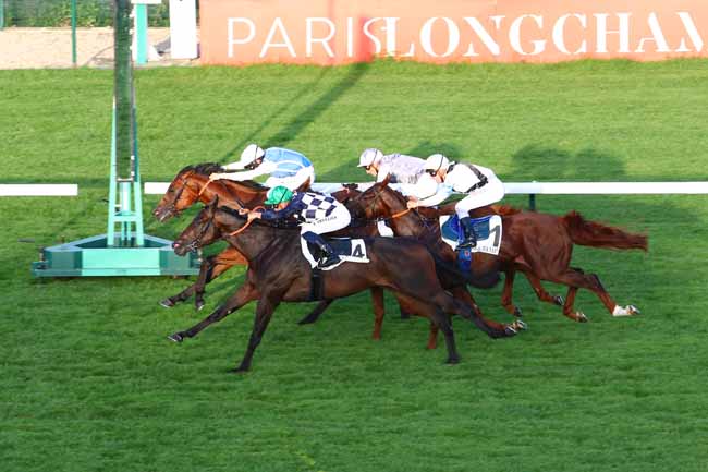 Photo d'arrivée de la course pmu PRIX DE LA GRANDE BIBLIOTHEQUE à LONGCHAMP le Jeudi 27 juin 2019