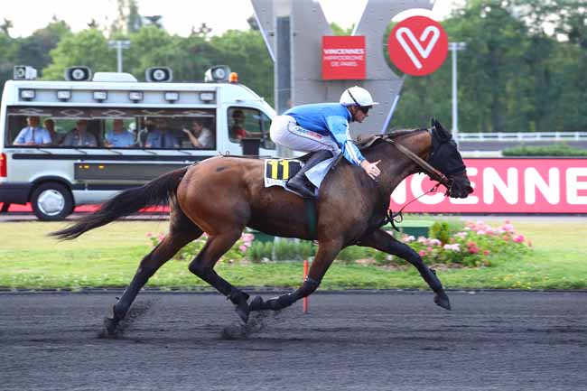 Photo d'arrivée de la course pmu PRIX PAUL DELANOE à PARIS-VINCENNES le Vendredi 28 juin 2019