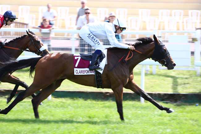 Photo d'arrivée de la course pmu PRIX D'ELLON à CLAIREFONTAINE le Vendredi 28 juin 2019