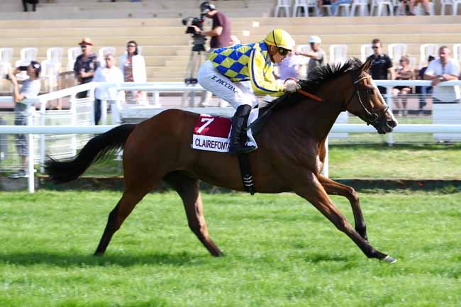 Photo d'arrivée de la course pmu PRIX DU CHEMIN DU MARAIS à CLAIREFONTAINE le Vendredi 28 juin 2019