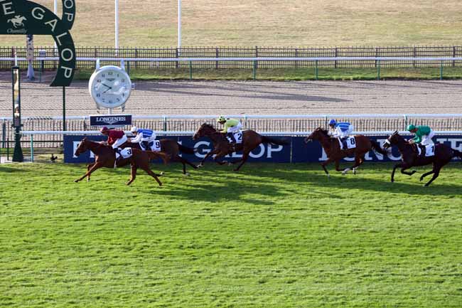 Photo d'arrivée de la course pmu ARQANA PRIX CHLOE à CHANTILLY le Samedi 29 juin 2019