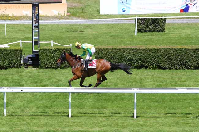 Photo d'arrivée de la course pmu PRIX FEMMES ET CHALLENGES BY CCI NORMANDIE à CLAIREFONTAINE le Lundi 1 juillet 2019