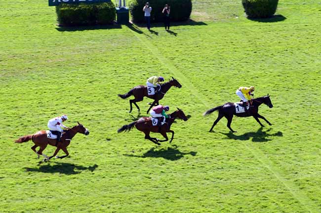 Photo d'arrivée de la course pmu PRIX GERALD DE ROCHEFORT à AUTEUIL le Mardi 2 juillet 2019