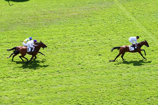 Photo d'arrivée de la course pmu PRIX FRASCATI à AUTEUIL le Mardi 2 juillet 2019