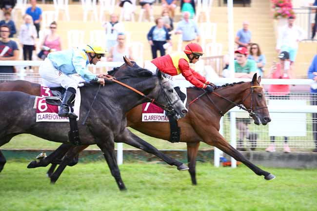 Photo d'arrivée de la course pmu PRIX LA GRANDE RECRE à CLAIREFONTAINE le Samedi 6 juillet 2019
