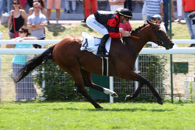 Photo d'arrivée de la course pmu PRIX D'AUBIGNY à DEAUVILLE le Lundi 8 juillet 2019