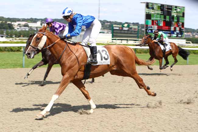 Photo d'arrivée de la course pmu PRIX DE MOLAY-LITTRY à DEAUVILLE le Lundi 8 juillet 2019