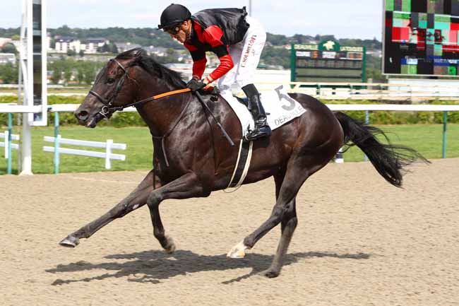 Photo d'arrivée de la course pmu PRIX DU MANOIR POTIER à DEAUVILLE le Lundi 8 juillet 2019