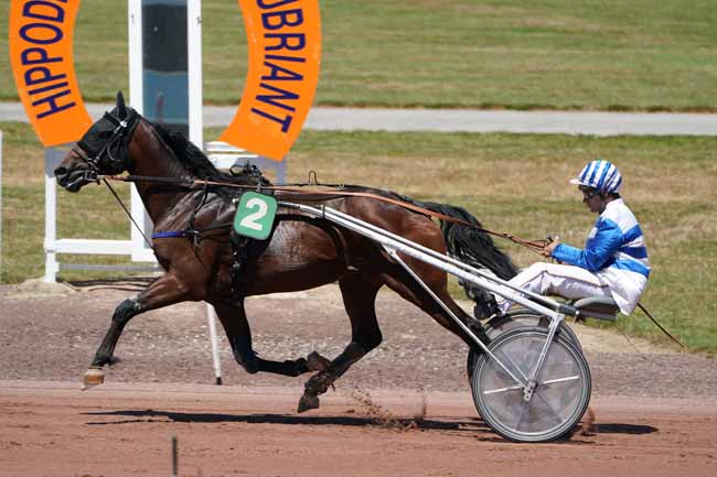 Photo d'arrivée de la course pmu PRIX NIMROD BOREALIS à CHATEAUBRIANT le Mardi 9 juillet 2019