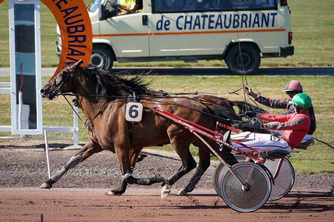 Photo d'arrivée de la course pmu PRIX COKTAIL JET à CHATEAUBRIANT le Mardi 9 juillet 2019