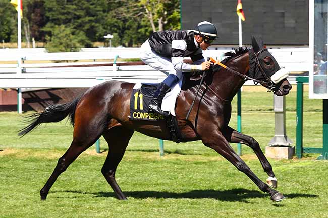 Photo d'arrivée de la course pmu PRIX DU MONT-SAINT-JEAN à COMPIEGNE le Mardi 9 juillet 2019