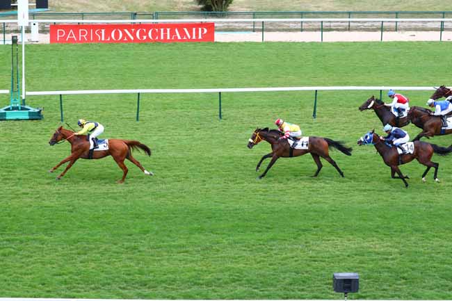 Photo d'arrivée de la course pmu PRIX DE LA DAME BLANCHE à LONGCHAMP le Jeudi 11 juillet 2019