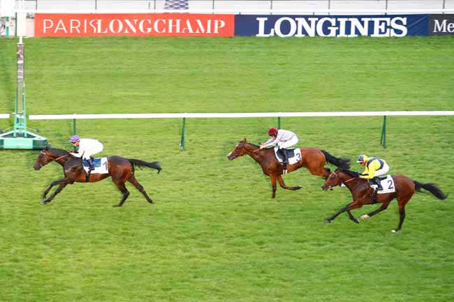 Photo d'arrivée de la course pmu PRIX DE LA PROMENADE PLANTEE à LONGCHAMP le Jeudi 11 juillet 2019
