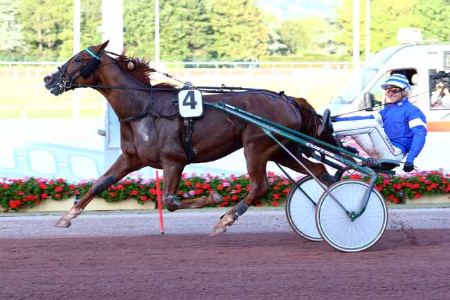 Photo d'arrivée de la course pmu PRIX DU SAP à CABOURG le Vendredi 12 juillet 2019