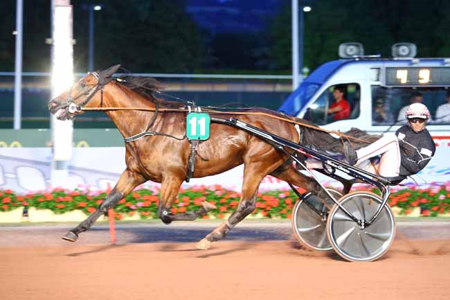 Photo d'arrivée de la course pmu PRIX DE DOMFRONT à CABOURG le Vendredi 12 juillet 2019