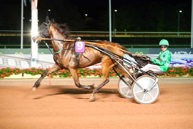 Photo d'arrivée de la course pmu PRIX DE SAINTE-MARIE-DU-MONT à CABOURG le Vendredi 12 juillet 2019