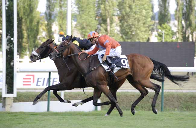 Photo d'arrivée de la course pmu PRIX DE LA SOCIETE DES COURSES D'AVENCHES à VICHY le Lundi 15 juillet 2019
