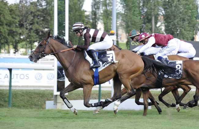 Photo d'arrivée de la course pmu PRIX DE BELLERIVE-SUR-ALLIER à VICHY le Lundi 15 juillet 2019