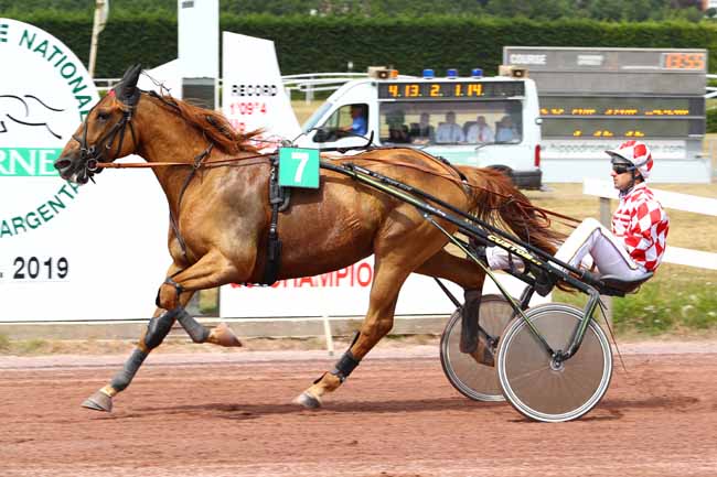 Photo d'arrivée de la course pmu PRIX 