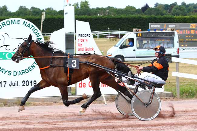 Photo d'arrivée de la course pmu PRIX ORNE TERRE DE CHAMPION à ARGENTAN le Mercredi 17 juillet 2019