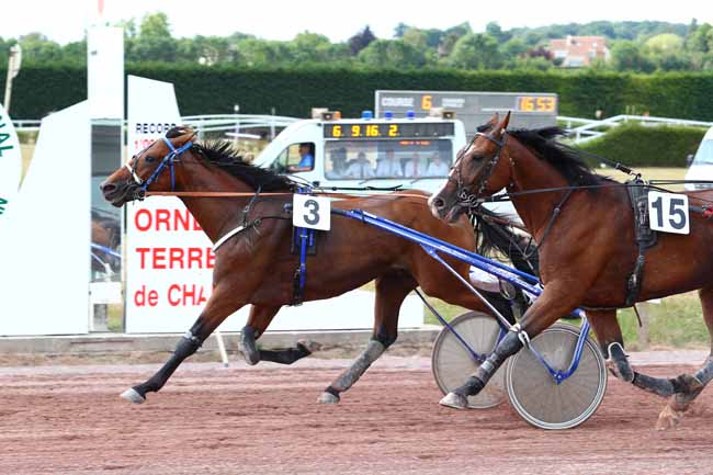Photo d'arrivée de la course pmu PRIX DU 75EME ANNIVERSAIRE DU DEBARQUEMENT à ARGENTAN le Mercredi 17 juillet 2019