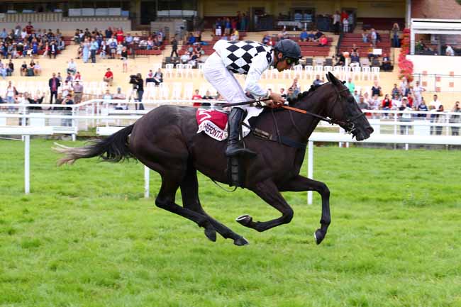 Photo d'arrivée de la course pmu PRIX DE LA GARENNE à CLAIREFONTAINE le Samedi 20 juillet 2019