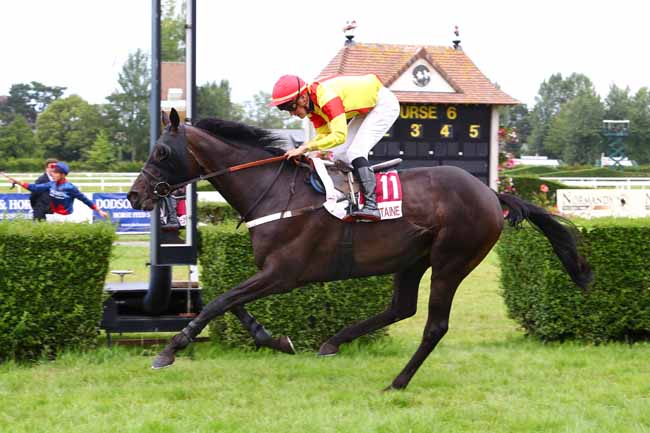 Photo d'arrivée de la course pmu PRIX GROS BILLOT à CLAIREFONTAINE le Samedi 20 juillet 2019