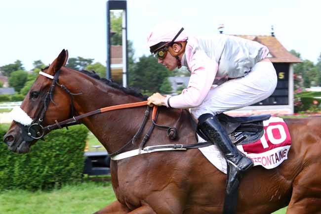 Photo d'arrivée de la course pmu PRIX JACQUES PEILLON à CLAIREFONTAINE le Samedi 20 juillet 2019